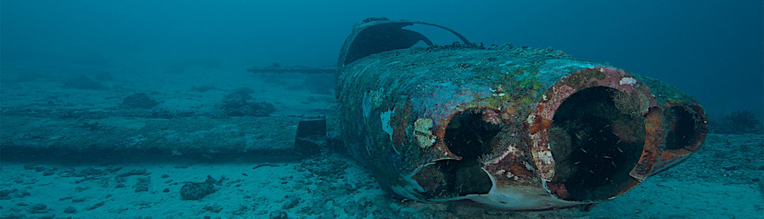 Airplane wreck at Moalboal